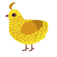 A yellow and ochre chicken with a lace pattern