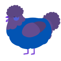 A ultramarine and overcast chicken with a head pattern