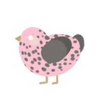 Merlot, a rose and grey chicken with a speckle pattern