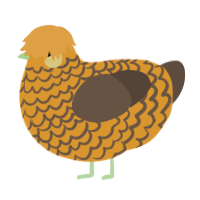 A orange and bark chicken with a lace pattern