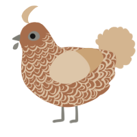 A brown and beige chicken with a double-lace pattern