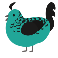 A turquoise and sable chicken with a half-lace pattern