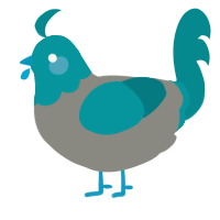 A ash and teal chicken with a head pattern