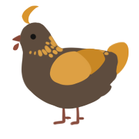 A bark and orange chicken with a neck-speckle pattern