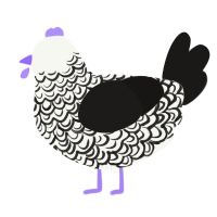 Amos, a white and sable chicken with a double-lace pattern