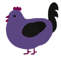 A overcast and black chicken