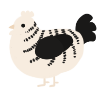 A cream and sable chicken with a half-bar pattern