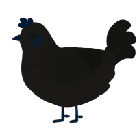 A sable and black chicken with a half-lace pattern