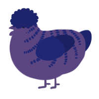 A overcast and navy chicken with a half-bar pattern