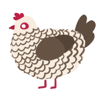 A cream and bark chicken with a lace pattern