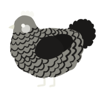 A ash and sable chicken with a lace pattern