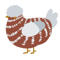 A russet and mist chicken with a bar pattern