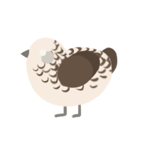 Luna, a cream and bark chicken with a half-lace pattern