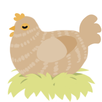 A beige chicken with a bar pattern