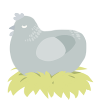 A silver chicken with a neck-band pattern
