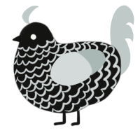 A black and silver chicken with a lace pattern