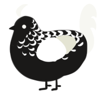 A grey and white chicken with a half-lace pattern