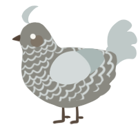 A ash and silver chicken with a lace pattern