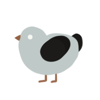 A silver and sable chicken