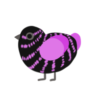 (unnamed), a black and orchid chicken with a bar pattern