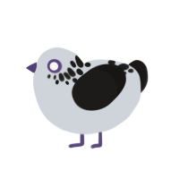 Oreo, a mist and sable chicken with a neck-speckle pattern