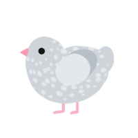 A mist chicken with a speckle pattern