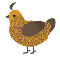 A orange and bark chicken with a double-lace pattern