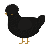 A black and sable chicken with a lace pattern