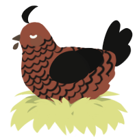 A russet and black chicken with a lace pattern