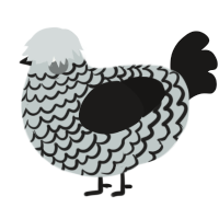 A silver and sable chicken with a lace pattern