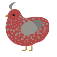 A red and ash chicken with a speckle pattern
