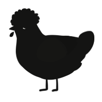 A black chicken