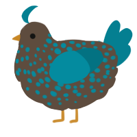 A bark and sea chicken with a speckle pattern