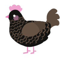 A black and bark chicken with a lace pattern