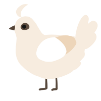 A cream chicken