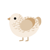 underbaked bread, a cream and beige chicken with a half-lace pattern