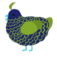A navy and chartreuse chicken with a lace pattern