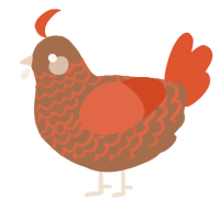 A brown and vermilion chicken with a lace pattern