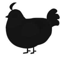 A black chicken with a head pattern