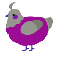A plum and ash chicken with a head pattern