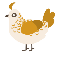 A cream and ochre chicken with a half-lace pattern