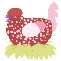 A red and rose chicken with a speckle pattern