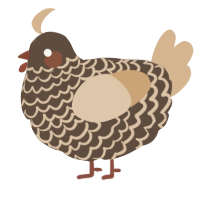 A bark and beige chicken with a lace pattern