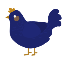 A navy chicken with a half-lace pattern