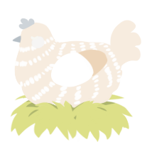 A cream chicken with a bar pattern