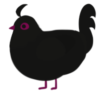 A black chicken with a head pattern