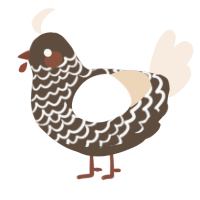 A bark and cream chicken with a lace pattern