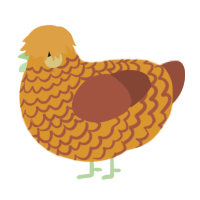 A orange and russet chicken with a lace pattern