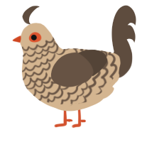 A beige and bark chicken with a lace pattern