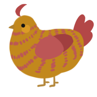 A ochre and red chicken with a bar pattern